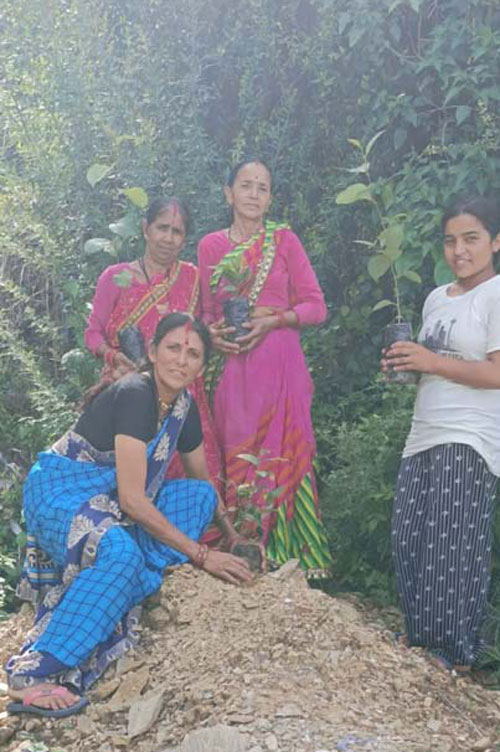 गांव नावली में वृक्षारोपण कार्यक्रम